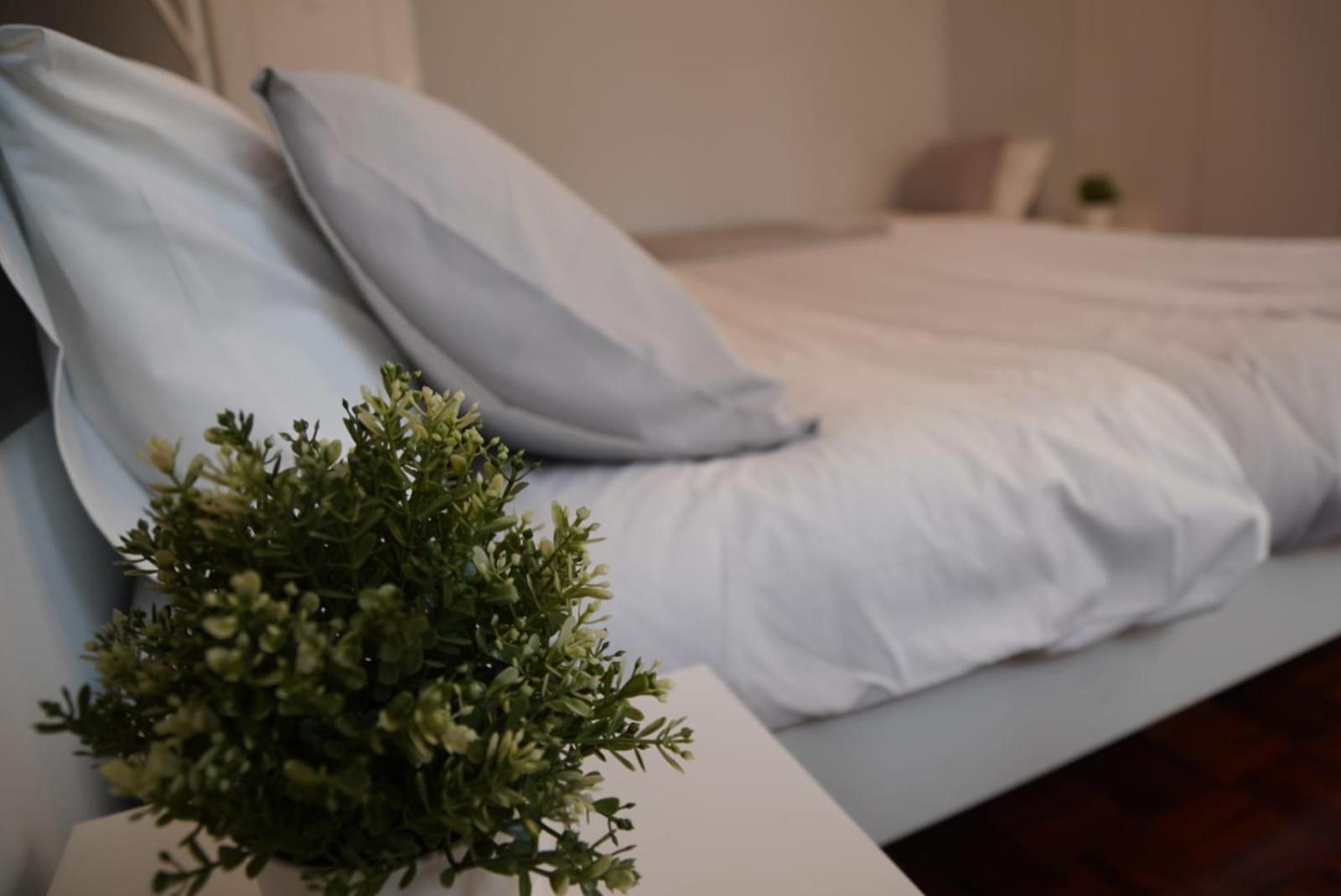 Bisengototo Homestay Lisbon Luaran gambar